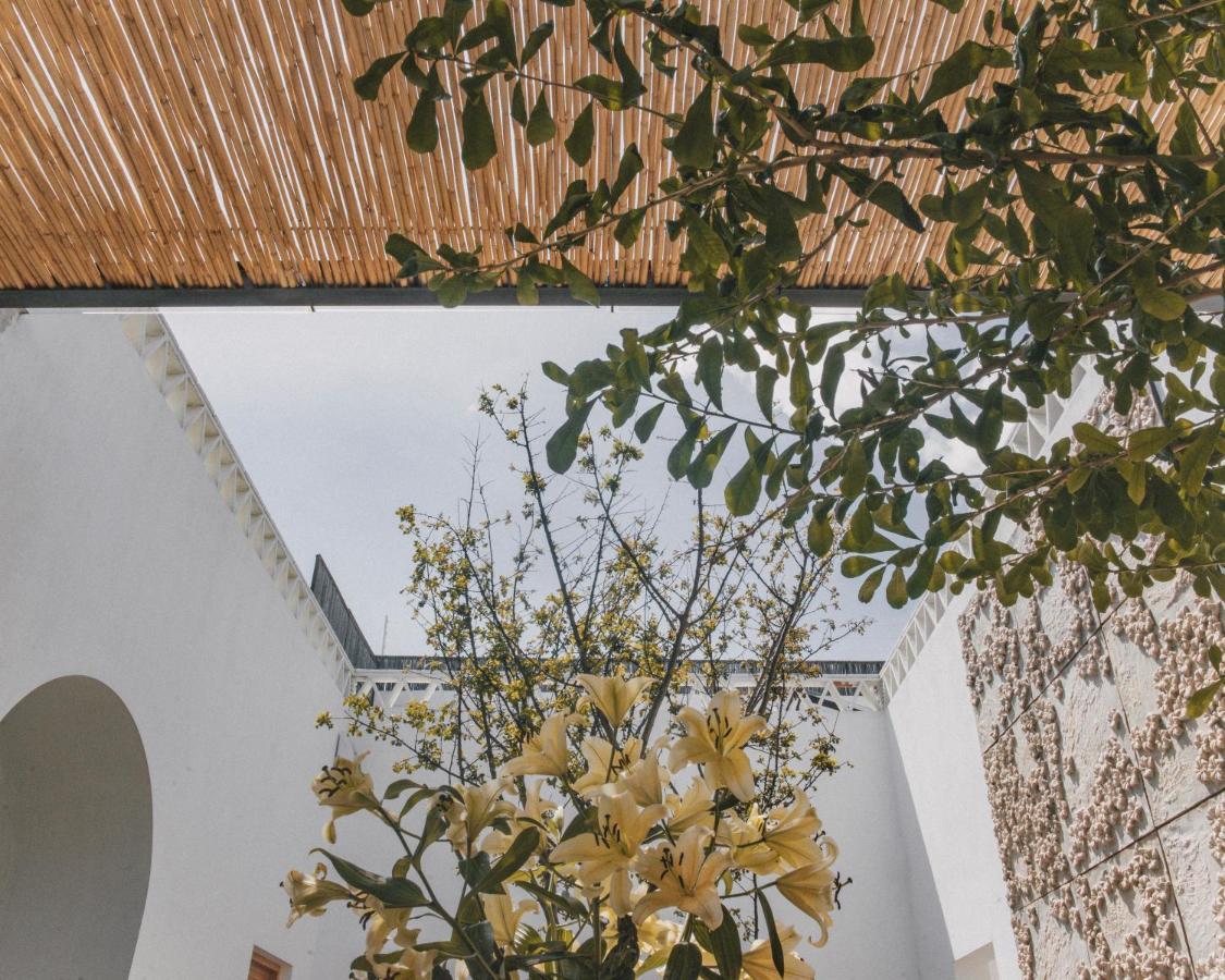 Casa Carmen Morelos Oaxaca Exterior foto